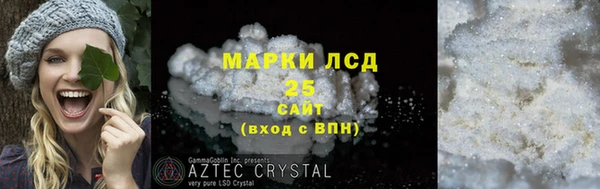 ПСИЛОЦИБИНОВЫЕ ГРИБЫ Пересвет