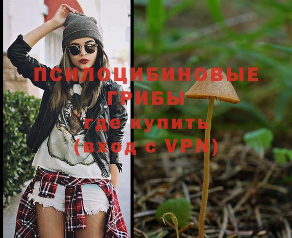 2c-b Осинники