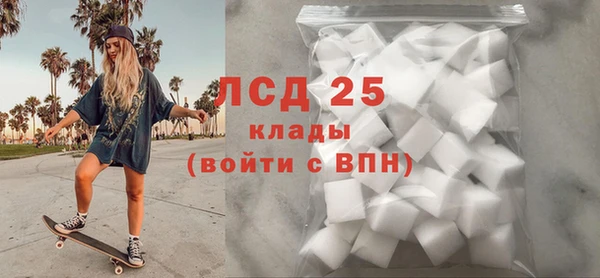 ПСИЛОЦИБИНОВЫЕ ГРИБЫ Пересвет
